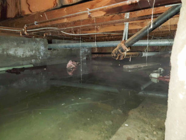 Best Commercial water damage restoration  in Fairbanks Ranch, CA