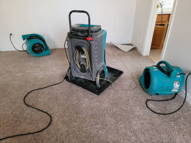 Best Carpet water damage restoration  in Fairbanks Ranch, CA