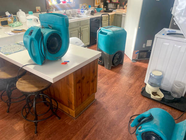 Best Basement water damage restoration  in Fairbanks Ranch, CA