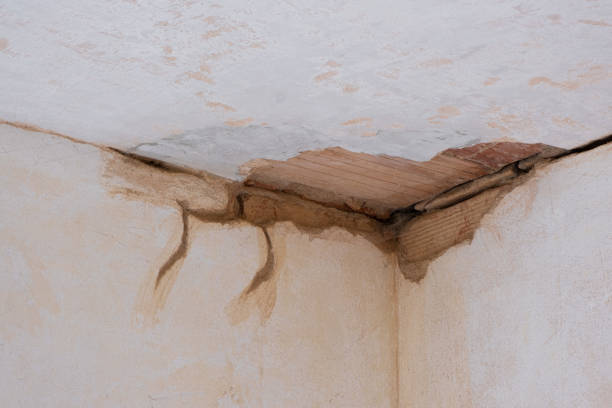 Best Water damage restoration process  in Fairbanks Ranch, CA
