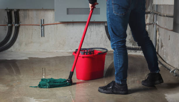 Best Water damage restoration near me  in Fairbanks Ranch, CA