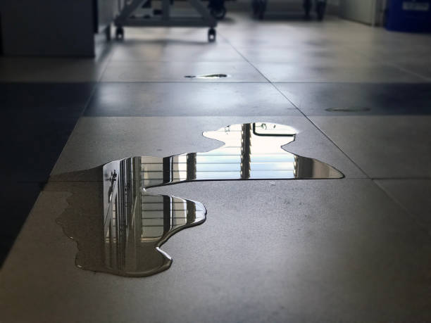Best Local water damage restoration  in Fairbanks Ranch, CA