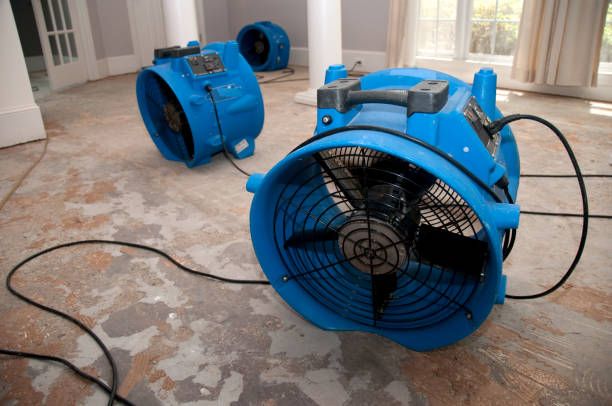 Best Water damage cleanup near me  in Fairbanks Ranch, CA