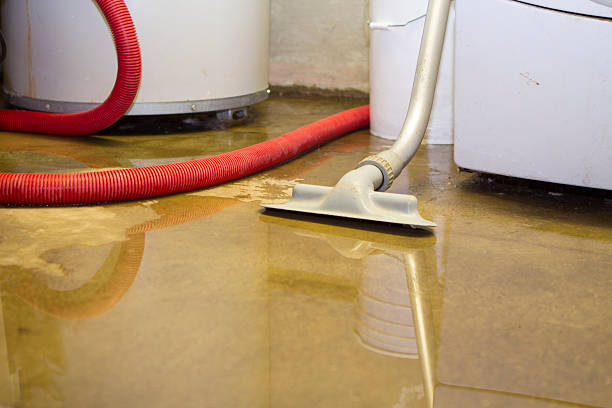 Best Flood damage cleanup  in Fairbanks Ranch, CA